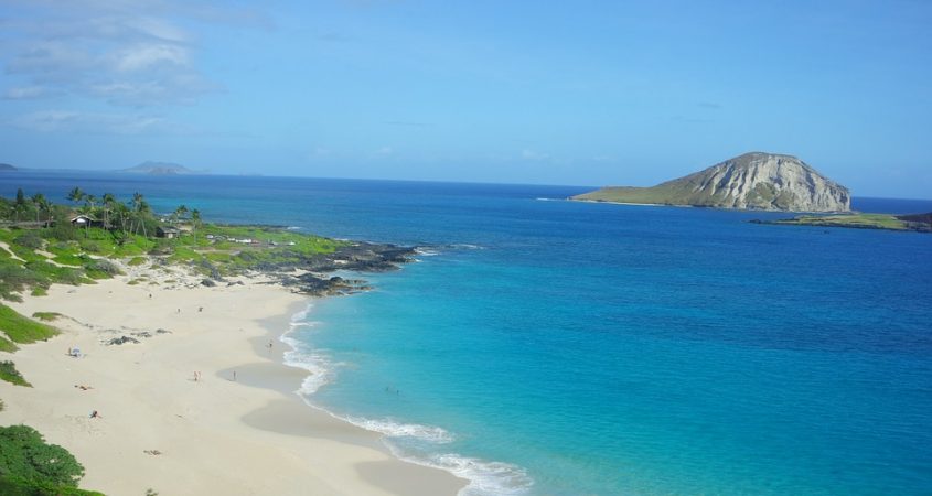 Hawaii vacation spot: White sandy shore with calm waves